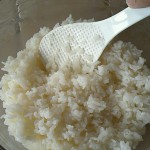 Sushi Rice