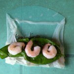 Basil and Shrimp on wrap